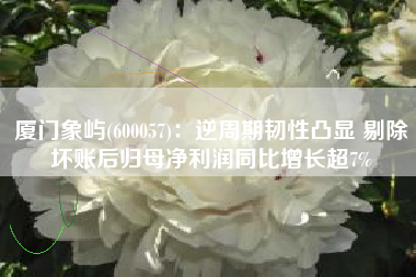 厦门象屿(600057)：逆周期韧性凸显 剔除坏账后归母净利润同比增长超7%