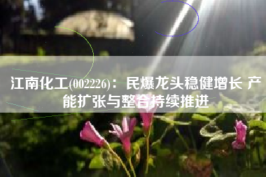 江南化工(002226)：民爆龙头稳健增长 产能扩张与整合持续推进