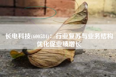 长电科技(600584)：行业复苏与业务结构优化促业绩增长