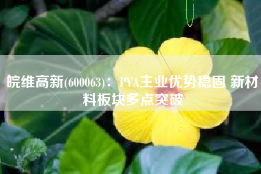 皖维高新(600063)：PVA主业优势稳固 新材料板块多点突破