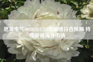 思源电气(002028)：24年业绩符合预期 持续突破海外市场