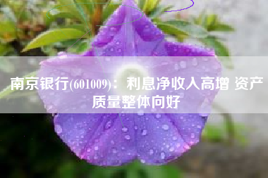 南京银行(601009)：利息净收入高增 资产质量整体向好