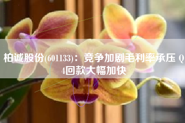 柏诚股份(601133)：竞争加剧毛利率承压 Q4回款大幅加快