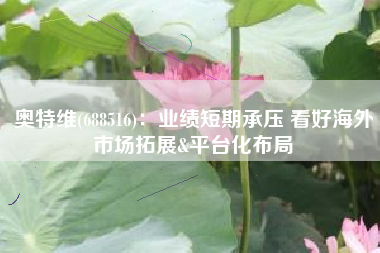奥特维(688516)：业绩短期承压 看好海外市场拓展&平台化布局