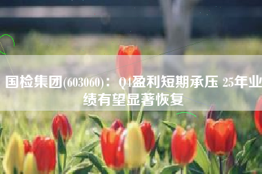 国检集团(603060)：Q4盈利短期承压 25年业绩有望显著恢复