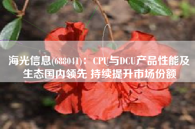 海光信息(688041)：CPU与DCU产品性能及生态国内领先 持续提升市场份额
