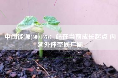 中闽能源(600163)：站在当前成长起点 内延外伸空间广阔