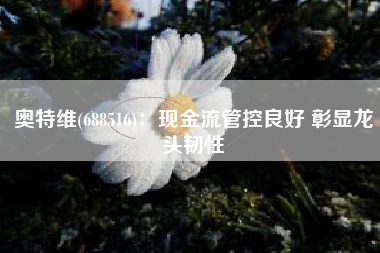 奥特维(688516)：现金流管控良好 彰显龙头韧性