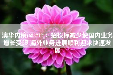 澳华内镜(688212)：招投标减少使国内业务增长受限 海外业务进展顺利迎来快速发展