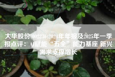 大华股份(002236)2024年年报及2025年一季报点评：AI赋能“五全”能力基座 新兴需求支撑增长