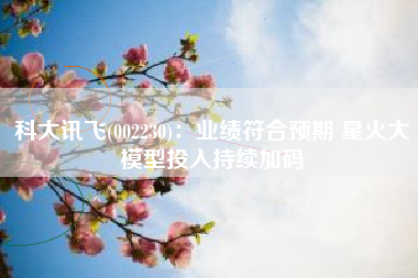 科大讯飞(002230)：业绩符合预期 星火大模型投入持续加码