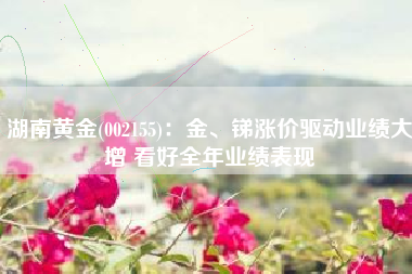 湖南黄金(002155)：金、锑涨价驱动业绩大增 看好全年业绩表现