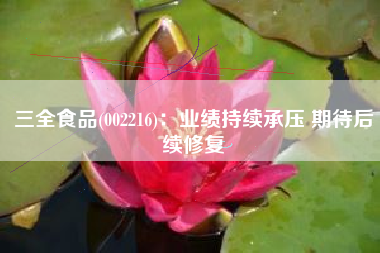 三全食品(002216)：业绩持续承压 期待后续修复