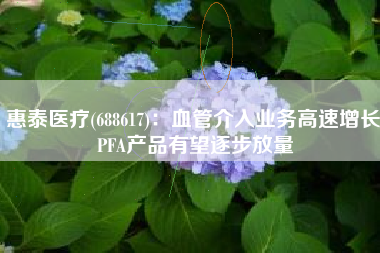 惠泰医疗(688617)：血管介入业务高速增长 PFA产品有望逐步放量