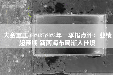 大金重工(002487)2025年一季报点评：业绩超预期 新两海布局渐入佳境