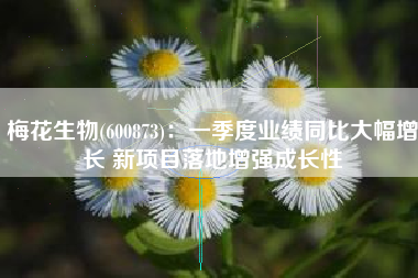 梅花生物(600873)：一季度业绩同比大幅增长 新项目落地增强成长性