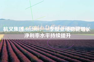 杭叉集团(603298)：一季度业绩稳健增长 净利率水平持续提升