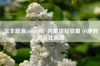 宝丰能源(600989)：内蒙项目放量 Q1净利同环比高增