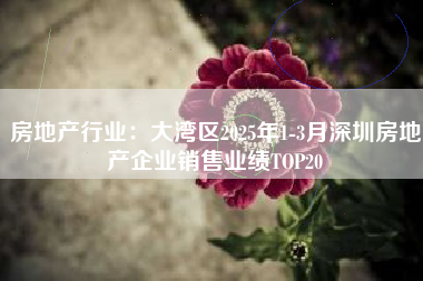 房地产行业：大湾区2025年1-3月深圳房地产企业销售业绩TOP20