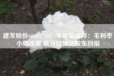 建发股份(600153)2024年年报点评：毛利率小幅改善 高分红强化股东回报