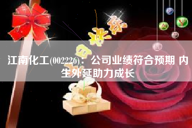 江南化工(002226)：公司业绩符合预期 内生外延助力成长