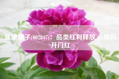 盐津铺子(002847)：品类红利释放 Q1顺利开门红