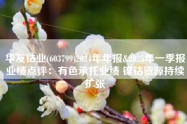华友钴业(603799)2024年年报&2025年一季报业绩点评：有色承托业绩 镍钴资源持续扩张