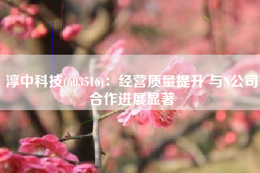 淳中科技(603516)：经营质量提升 与N公司合作进展显著