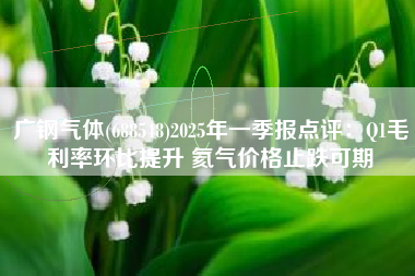 广钢气体(688548)2025年一季报点评：Q1毛利率环比提升 氦气价格止跌可期