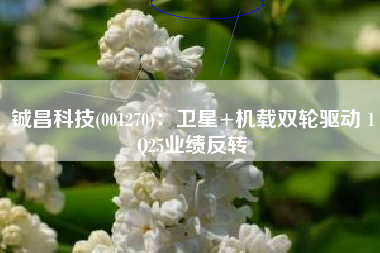 铖昌科技(001270)：卫星+机载双轮驱动 1Q25业绩反转