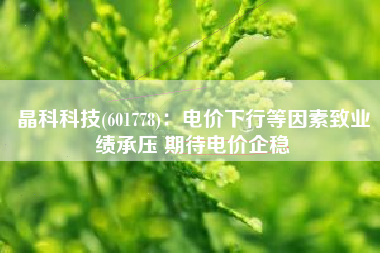 晶科科技(601778)：电价下行等因素致业绩承压 期待电价企稳