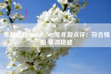 天润乳业(600419)2024年年报点评：符合预期 基调稳健