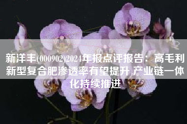 新洋丰(000902)2024年报点评报告：高毛利新型复合肥渗透率有望提升 产业链一体化持续推进