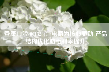 登康口腔(001328)：电商为核心驱动 产品结构优化助毛利率提升