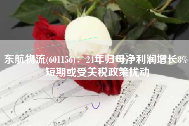 东航物流(601156)：24年归母净利润增长8% 短期或受关税政策扰动