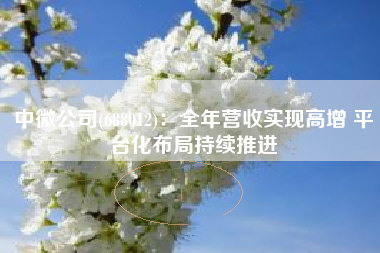 中微公司(688012):全年营收实现高增 平台化布局持续推进 中微公司(688012):全年营收实现高增 平台化布局持续推进