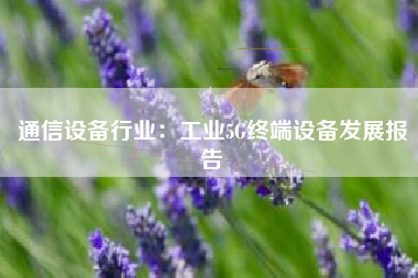 通信设备行业：工业5G终端设备发展报告