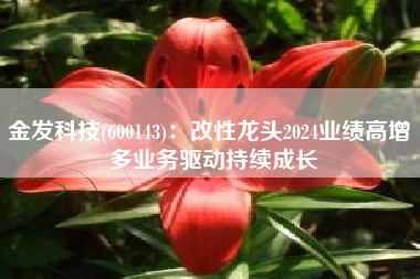 金发科技(600143)：改性龙头2024业绩高增 多业务驱动持续成长