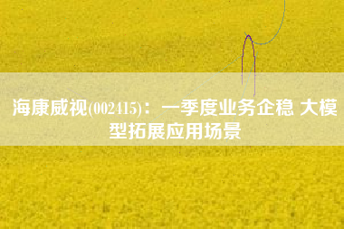 海康威视(002415)：一季度业务企稳 大模型拓展应用场景