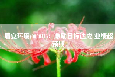 盾安环境(002011)：激励目标达成 业绩超预期