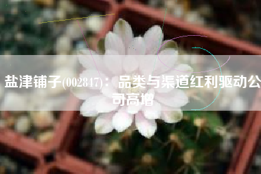 盐津铺子(002847)：品类与渠道红利驱动公司高增