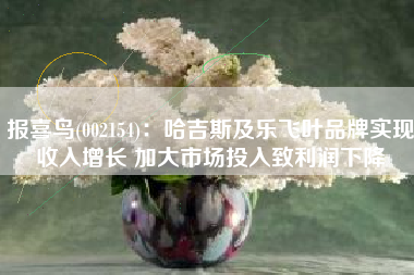 报喜鸟(002154)：哈吉斯及乐飞叶品牌实现收入增长 加大市场投入致利润下降