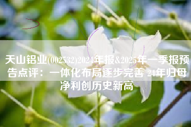 天山铝业(002532)2024年报&2025年一季报预告点评：一体化布局逐步完善 24年归母净利创历史新高