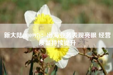 新大陆(000997)：出海业务表现亮眼 经营质量持续提升