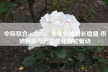 中际联合(605305)：全年业绩增长稳健 市场开拓与产品优化双轮驱动