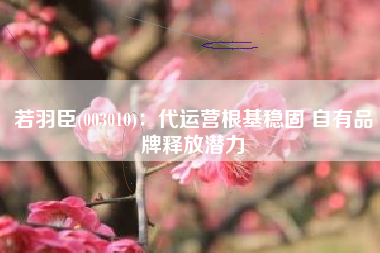 若羽臣(003010)：代运营根基稳固 自有品牌释放潜力