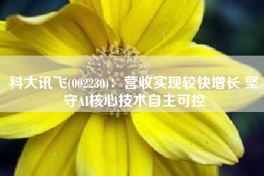 科大讯飞(002230)：营收实现较快增长 坚守AI核心技术自主可控