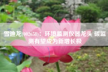 雪迪龙(002658)：环境监测仪器龙头 碳监测有望成为新增长极