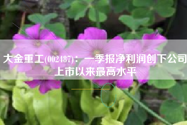 大金重工(002487)：一季报净利润创下公司上市以来最高水平