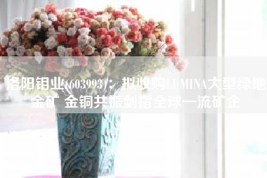 洛阳钼业(603993)：拟收购LUMINA大型绿地金矿 金铜共振剑指全球一流矿企